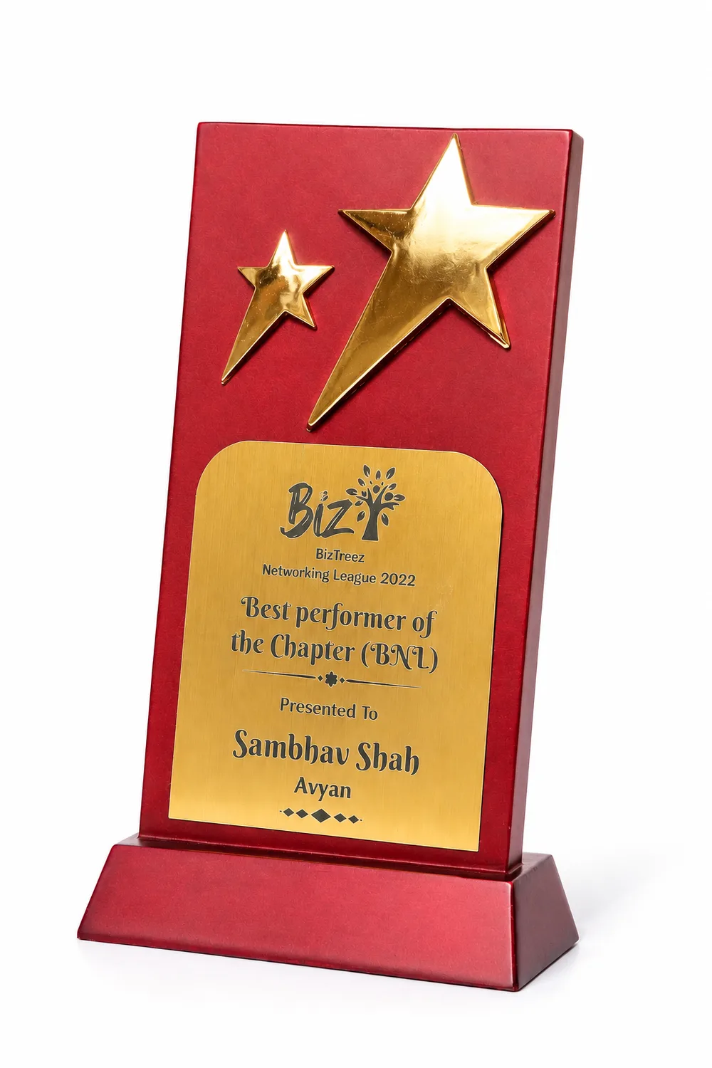 Best Performer of the Chapter (BNL) — BizTreez Networking League 2022