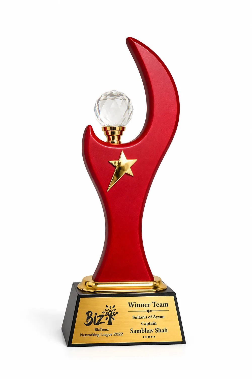 Winner Team — Sultan's of Ayyan — BizTreez Networking League 2022