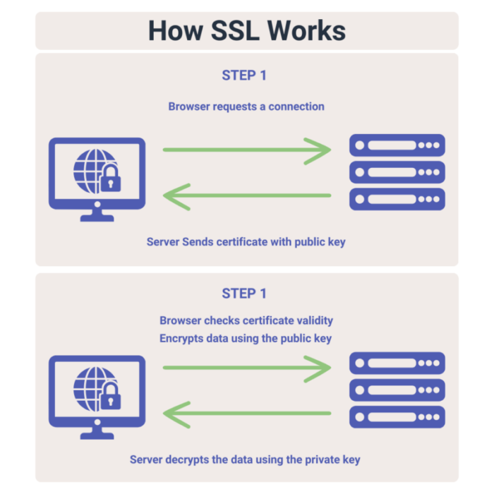 WordPress security