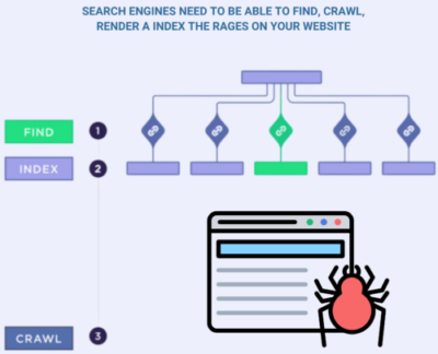 Website architecture & crawling